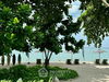 listing thumbnail image 15