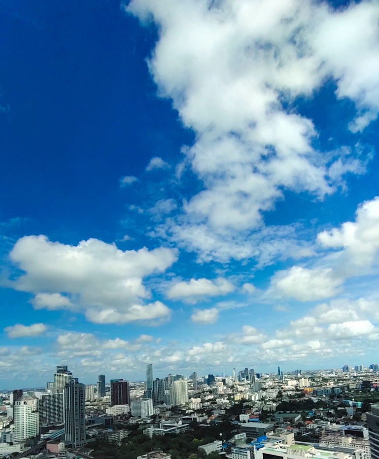 รูป 🎯 ถูกที่สุด! สวยที่สุด ใหม่ที่สุด!  ให้เช่า คอนโด ลุมพินี วิลล์ ประชาชื่น-พงษ์เพชร 2 - รูปที่ 15/15