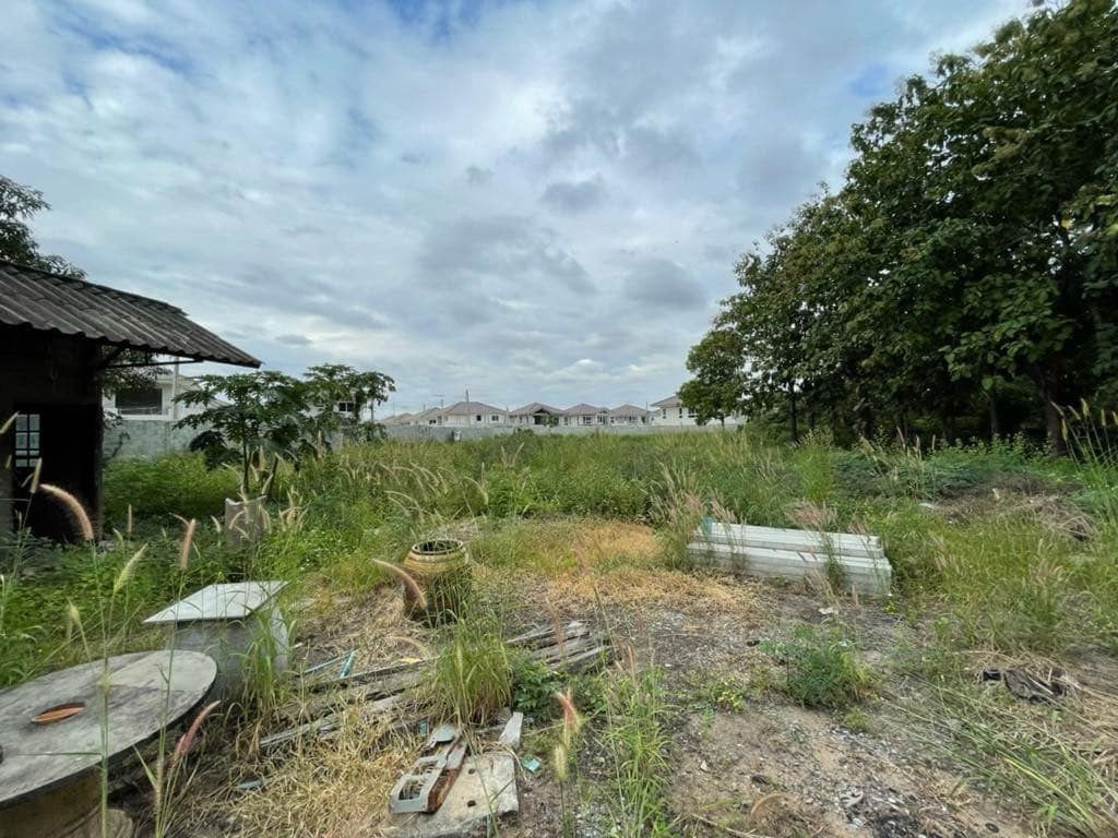picture Land for Rent: 3 Rai with Warehouse and worker housing - 2/12