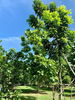 listing thumbnail image 7