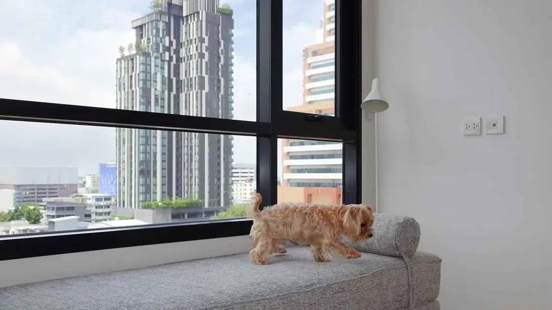 picture 🔥 Hordeal 🔥 For rent, MARU Ekkamai 2 (pet friendly), beautifully decorated room, near BTS, convenient transportation. - 25/25