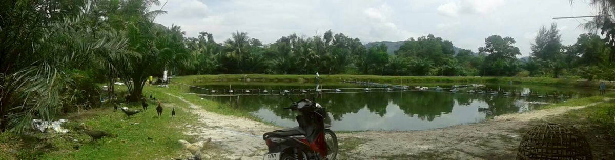 รูป ขายที่ดิน 7 ไร่เศษ ฝั่งตรงข้าม The Hot Spring Beach Resort&spa - รูปที่ 1/1