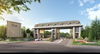 logo project The Palm Thawiwattana
