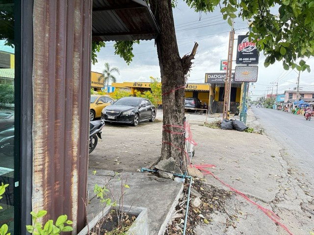 picture Warehouse For Rent Lam Luk Ka, Pathum Thani - 6/8