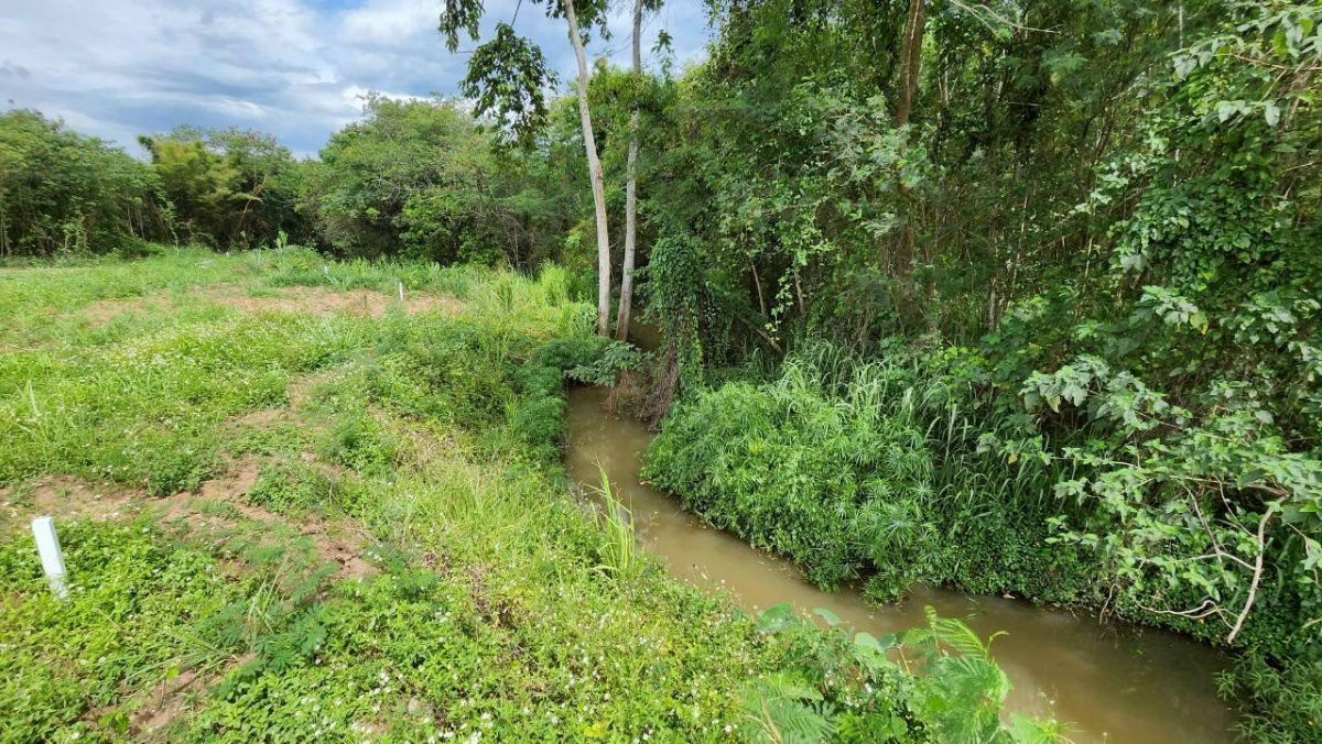 picture #Beautiful land for sale, popular location in Mu Si Subdistrict | Mountain views | Streamfront, 350 wa, 8 plots available | Starting at 12,000 baht  - 27/30