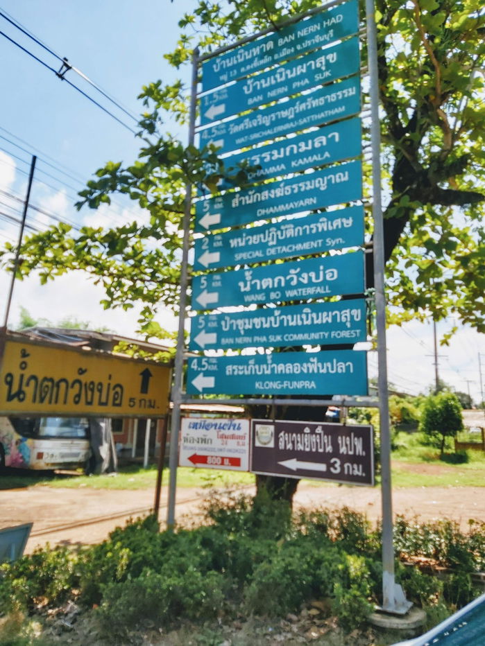 รูป ขายที่ดินวิวเขาใหญ่ เนินผาสุก ดงขี้เหล็ก ปราจีนบุรี – 2 ไร่ 1 งาน 10 ตร.วา พร้อมสวนผลไม้ - รูปที่ 9/11