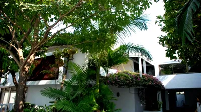 เช่าบ้านเดี่ยว ซอยทองหล่อ (สุขุมวิท 55) : 🔼🔽 AccomA 📩 Home Office,Private Swimming Pool 4 BR House in Khlong Ton Nuea (98084)