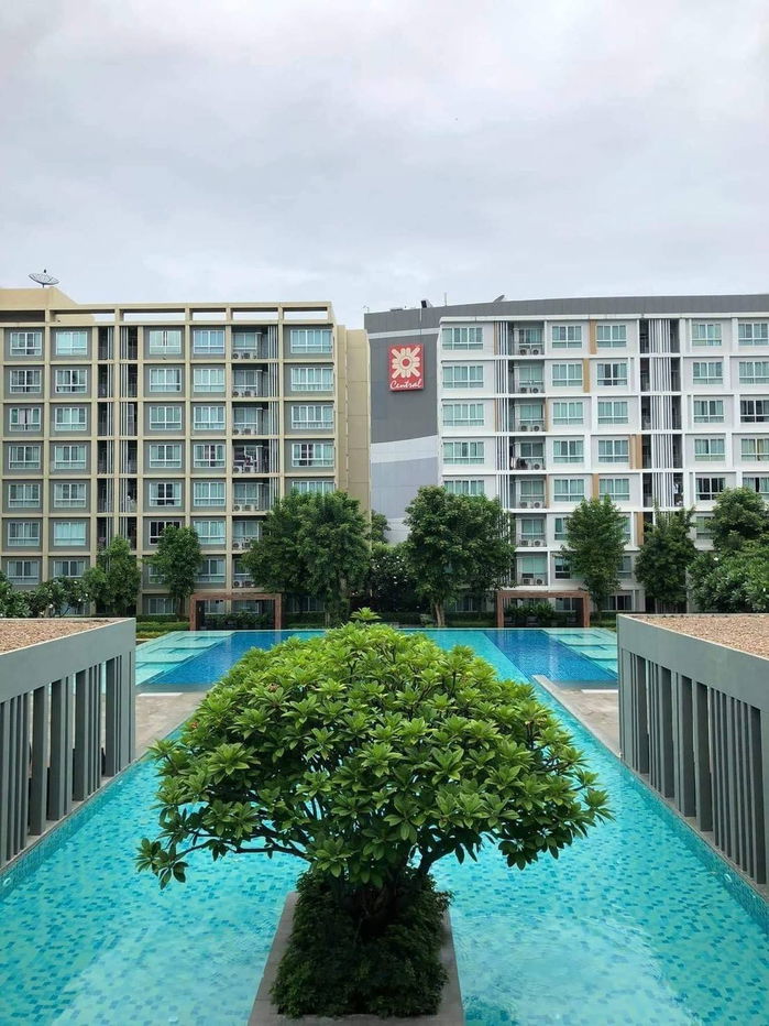 picture Condo for rent: Dcondo Sign, next to Central Festival. Call: 098-9690236 (Janny). - 12/15