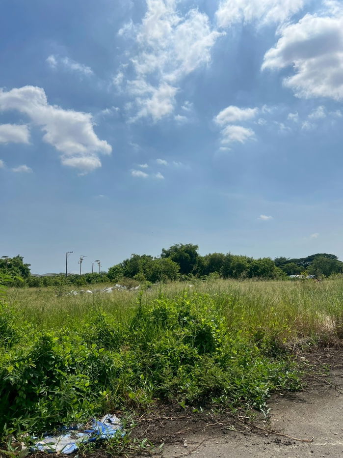 picture Land for sale in Green Lake Village, Bangna-Trad, a quality development ideal for residential development.  55 sq wah of land. - 3/6