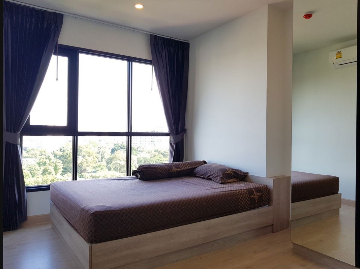 รูป T1260868 ให้เช่า คอนโด Knightsbridge Duplex Tiwanon ขนาด 35 ตร.ม. ชั้น 11 - รูปที่ 1/11