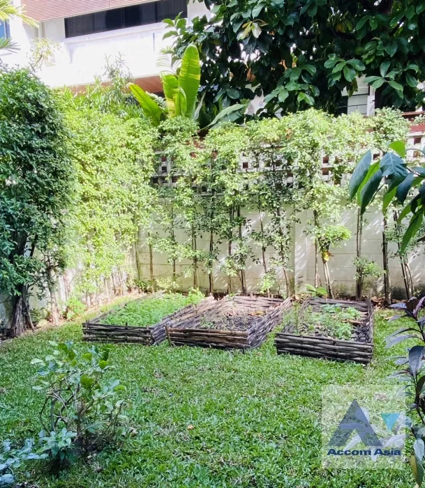 picture 🔼🔽 AccomA 📩  3 BR Townhouse in Khlong Ton Nuea (1716036) - 6/13