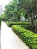 listing thumbnail image 13