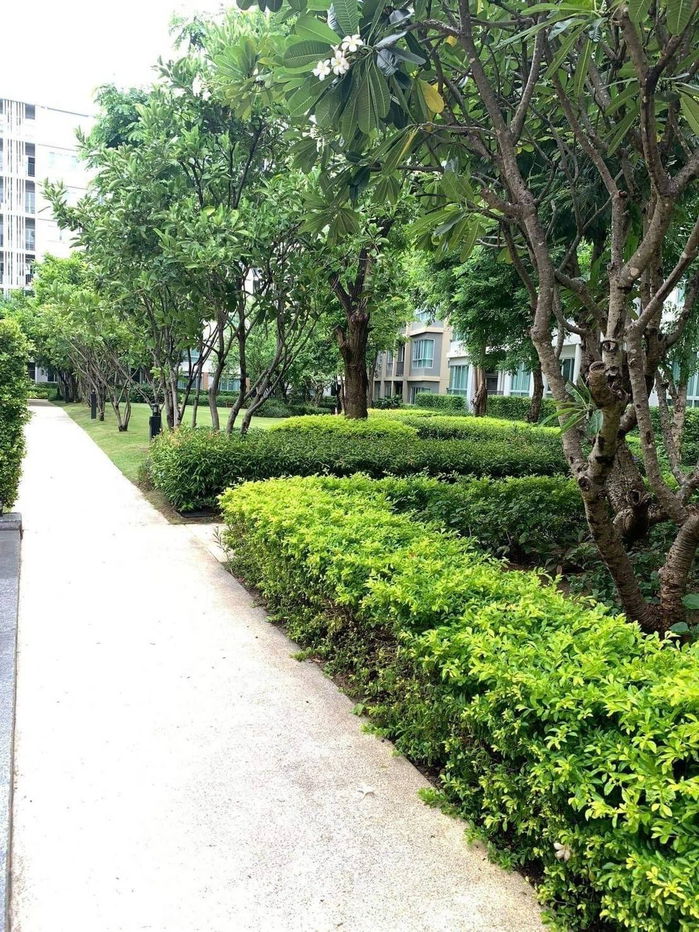 picture Condo for rent: Dcondo Sign, next to Central Festival. Call: 098-9690236 (Janny). - 14/15