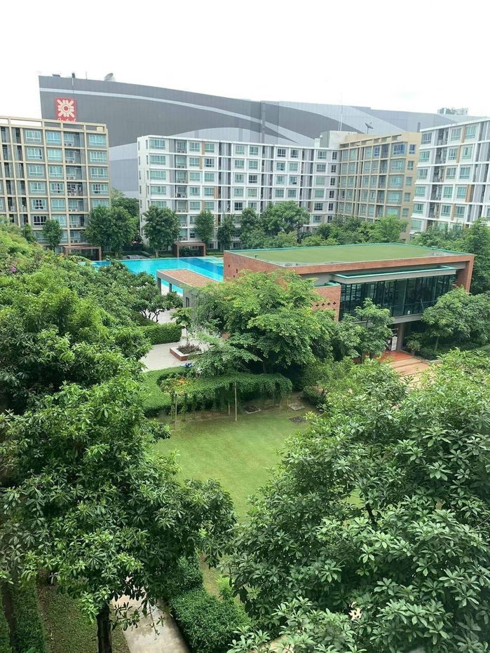 picture Condo for rent: Dcondo Sign, next to Central Festival. Call: 098-9690236 (Janny). - 13/15