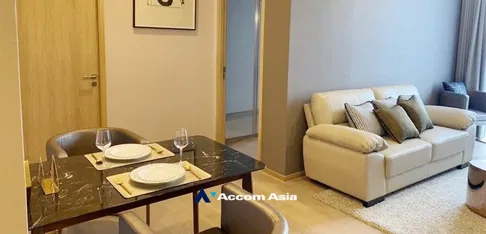 🔼🔽 AccomA 📩 Siamese Exclusive 42