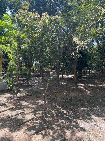 รูป ขายที่ดินพร้อมบ้านหรูสองชั้นหลังใหญ่ ใกล้ตัวเมืองนครนายก - รูปที่ 13/16
