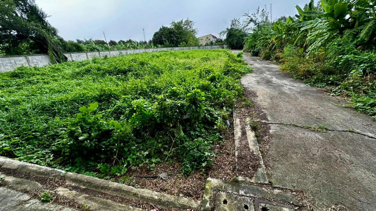รูป ขายที่ดินถมแล้ว 403 ตร.ว. ซอยประสิทธิ์พัฒนา ถนนบางระมาด ใกล้ถนนพุทธมณฑลสาย 1 และถนนกาญจนาภิเษก - รูปที่ 6/7