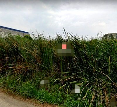 Land for rent Khlog Luang Khlong Nung : FOR RENT  LAND PROPERTY  50000 BAHT per MONTH