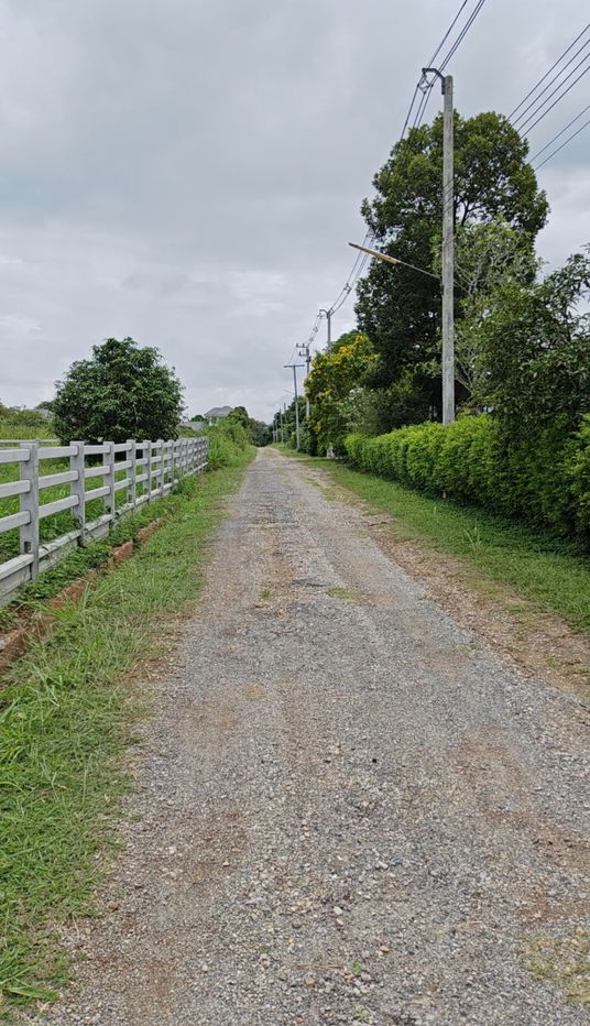 รูป 🚩Land For Sale #ที่ดินแบ่งขาย เขาใหญ่ ที่ดินจัดสรรโครงการอารีย์ เนื้อที่ 200 ตร.วา 🏞 แหล่ง Ozone อันดับต้นๆ ของไทย - รูปที่ 8/13