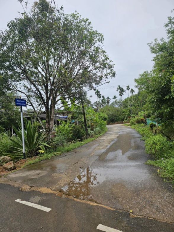 รูป ที่ดินเปล่า 1589 ตรว. จังหวัด ตราด - รูปที่ 3/11