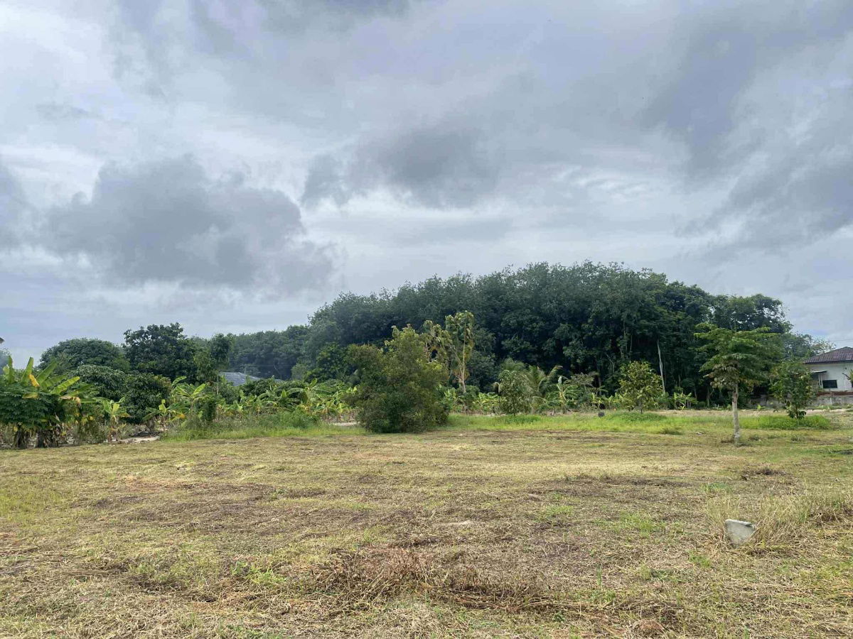 picture vacant land sale Rayong Thailand - 2/12