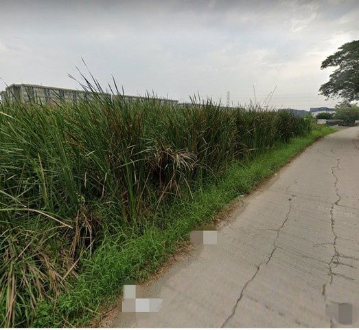 รูป TD1131 ให้เช่าที่ดินแปลงงาม ย่านรังสิต ปทุมธานี - รูปที่ 7/8