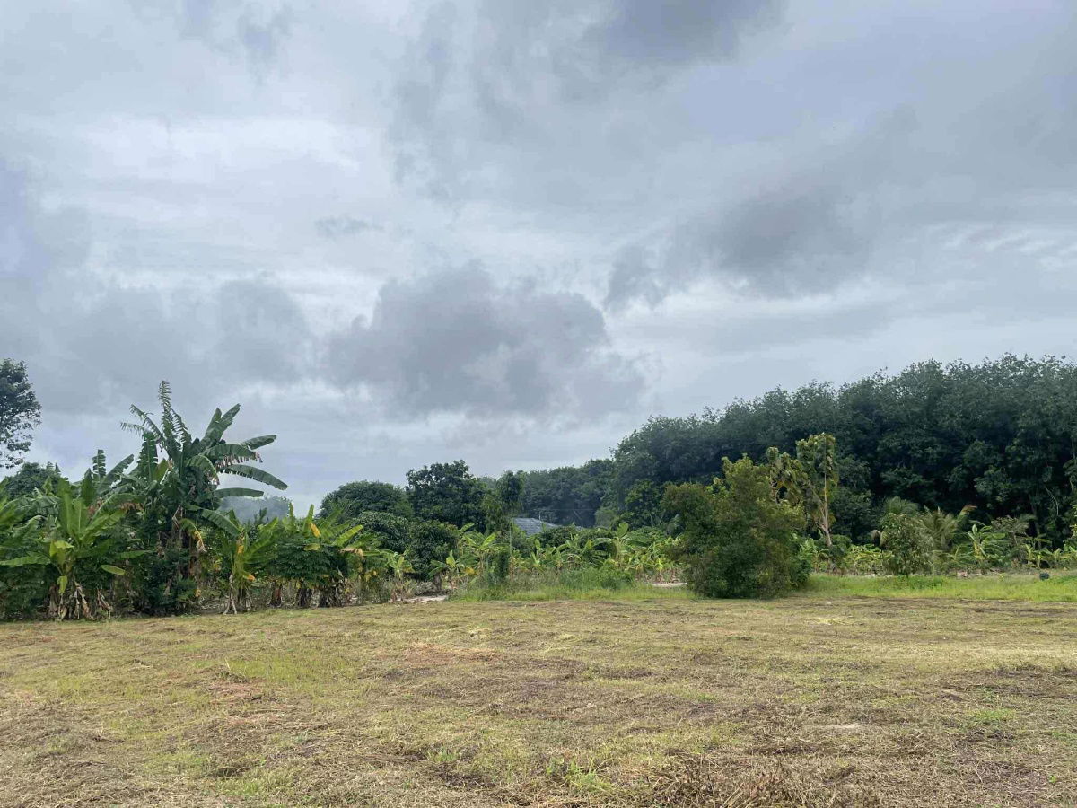 picture vacant land sale Rayong Thailand - 4/12