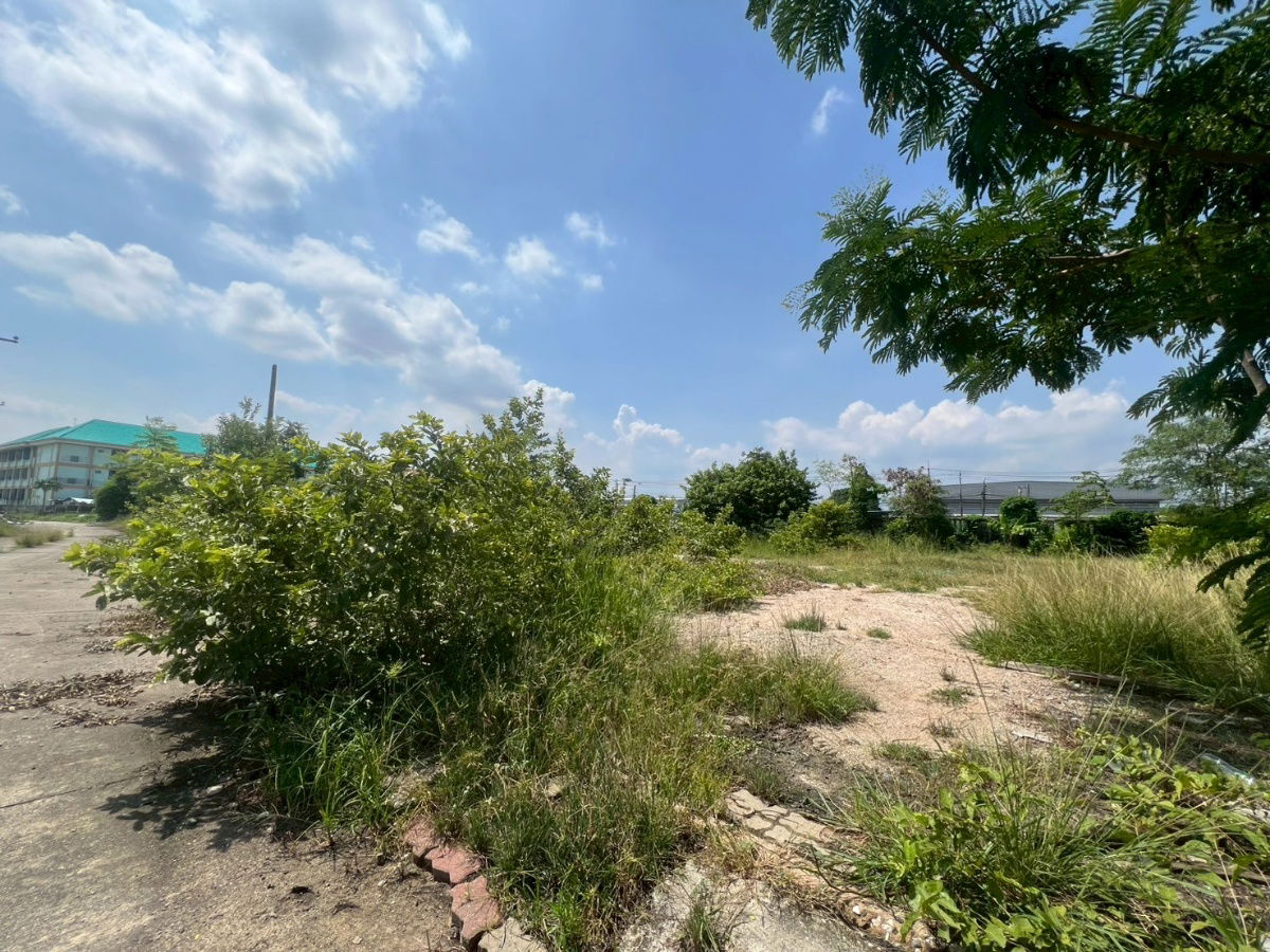 picture Land for sale in Green Lake Village, Bangna-Trad, a quality development suitable for residential development. The land area is 1 ngan, 92 sq wah. - 3/5