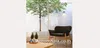 listing thumbnail image 10