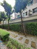 listing thumbnail image 21