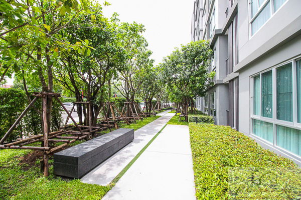 picture Dcondo onnut-rama9 nearby Suvarnabhumi  Airport  - 25/43