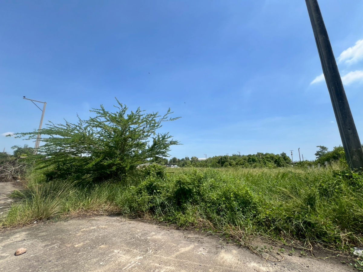 picture Land for sale in Green Lake Village, Bangna-Trad, a quality development ideal for residential development.  55 sq wah of land. - 6/6