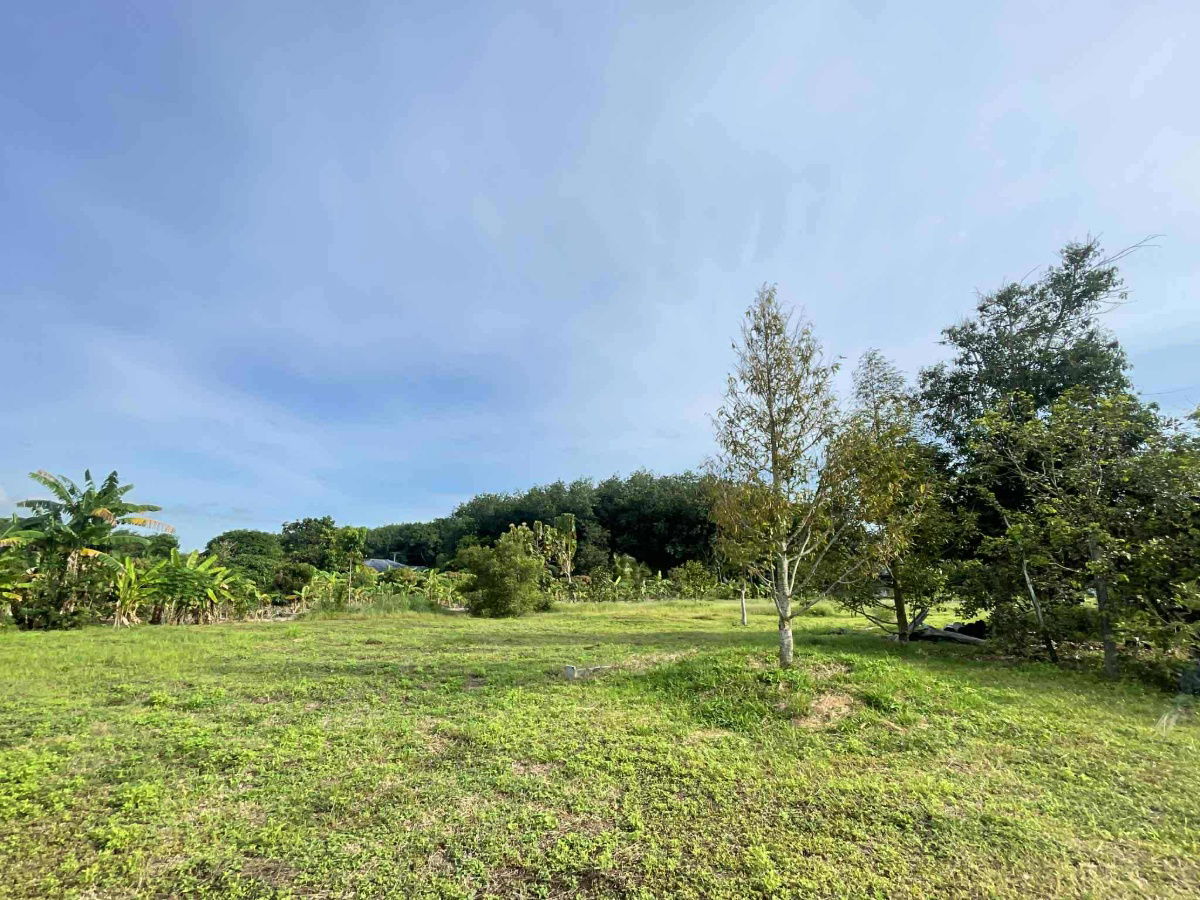 picture vacant land sale Rayong Thailand - 11/12