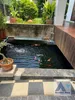 listing thumbnail image 1