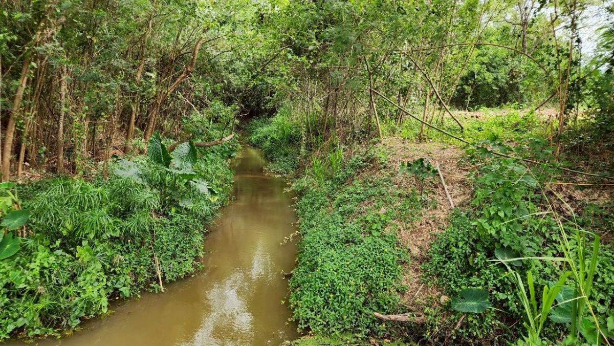 picture #Beautiful land for sale, popular location in Mu Si Subdistrict | Mountain views | Streamfront, 350 wa, 8 plots available | Starting at 12,000 baht  - 28/30