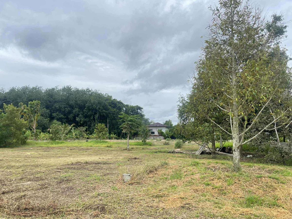 picture vacant land sale Rayong Thailand - 5/12