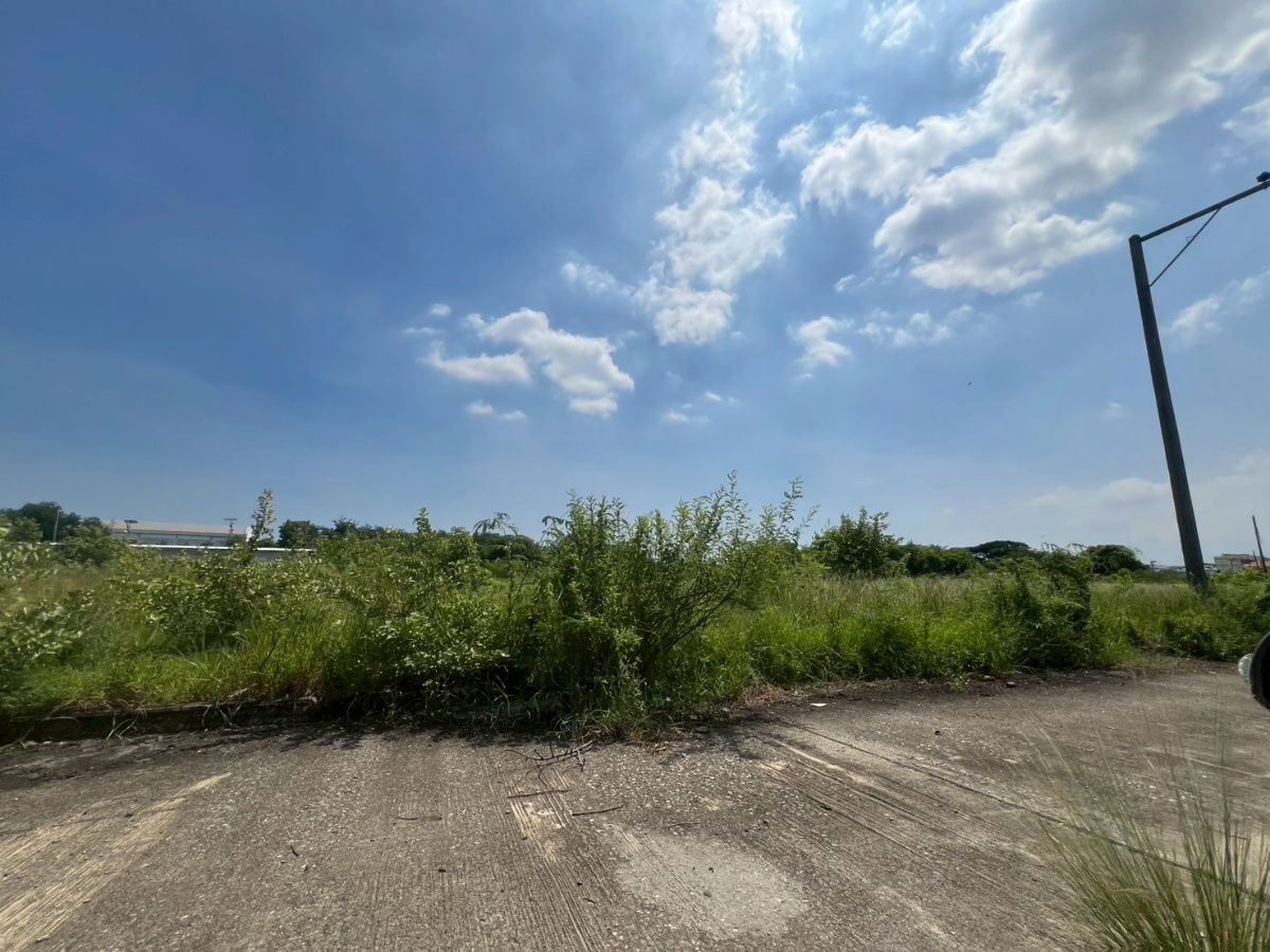 picture Land for sale in Green Lake Village, Bangna-Trad, a quality development ideal for residential development.  55 sq wah of land. - 4/6