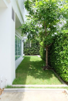 รูป ให้เช่าบ้าน ชัยพฤกษ์บางนา กม.15  - รูปที่ 37/39