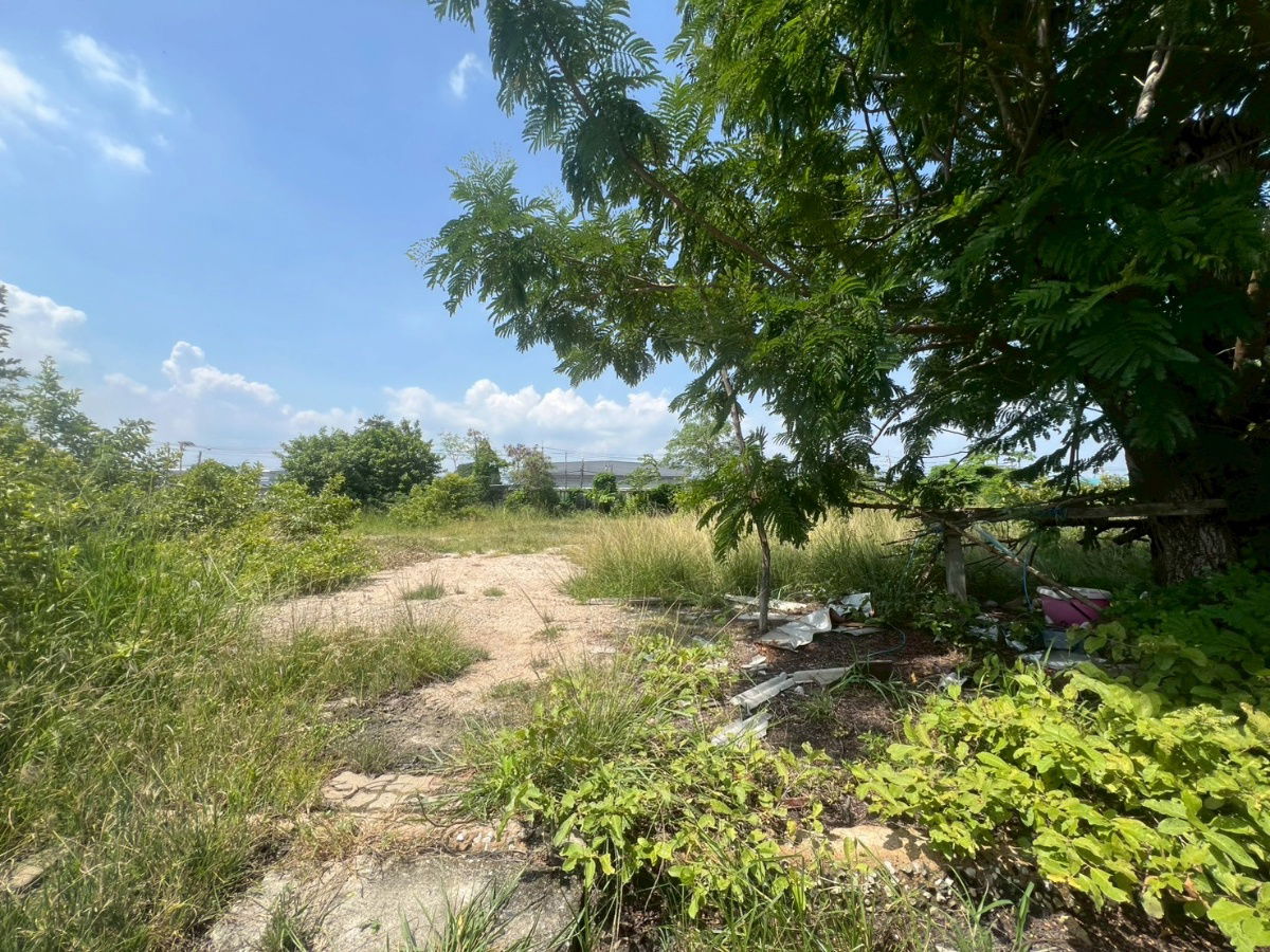 picture Land for sale in Green Lake Village, Bangna-Trad, a quality development suitable for residential development. The land area is 1 ngan, 92 sq wah. - 4/5