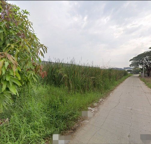 รูป TD1131 ให้เช่าที่ดินแปลงงาม ย่านรังสิต ปทุมธานี - รูปที่ 4/8