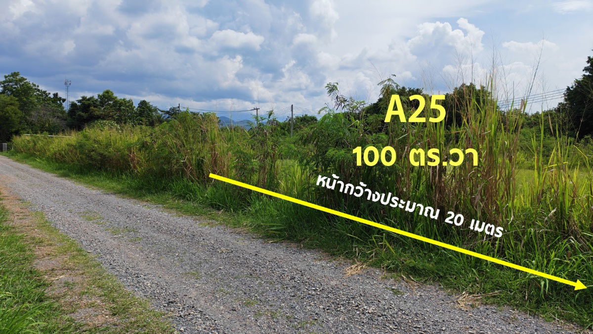 รูป 🚩Land For Sale #ที่ดินแบ่งขาย เขาใหญ่ ที่ดินจัดสรรโครงการอารีย์ เนื้อที่ 200 ตร.วา 🏞 แหล่ง Ozone อันดับต้นๆ ของไทย - รูปที่ 3/13