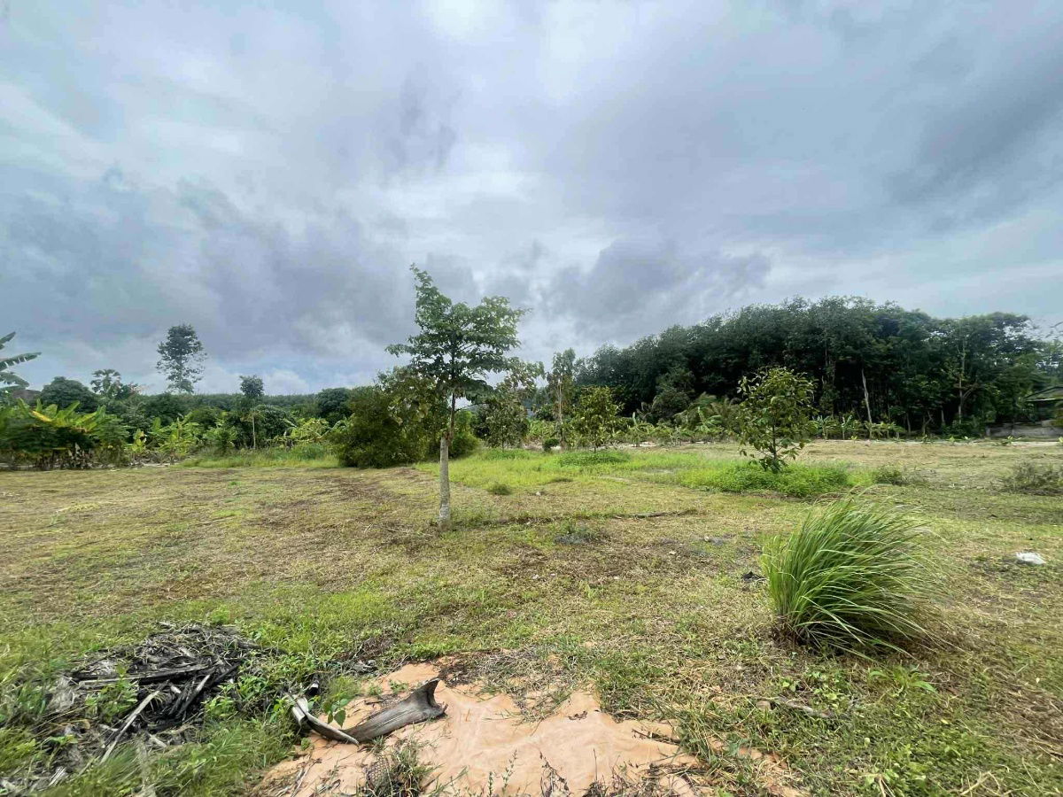 picture vacant land sale Rayong Thailand - 6/12