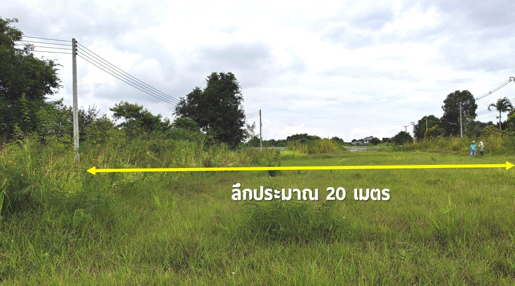 รูป 🚩Land For Sale #ที่ดินแบ่งขาย เขาใหญ่ ที่ดินจัดสรรโครงการอารีย์ เนื้อที่ 200 ตร.วา 🏞 แหล่ง Ozone อันดับต้นๆ ของไทย - รูปที่ 4/13
