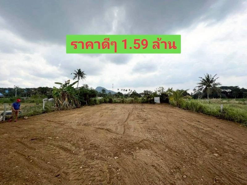 รูป ขายที่ดินแปลงสวย ราคาดี โซนบางเสร่ สัตหีบ ชลบุรี   - รูปที่ 2/6