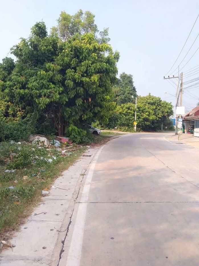 รูป ขายที่ดินตรงข้าม Tropical ห้วยใหญ่ ชลบุรี - รูปที่ 4/9