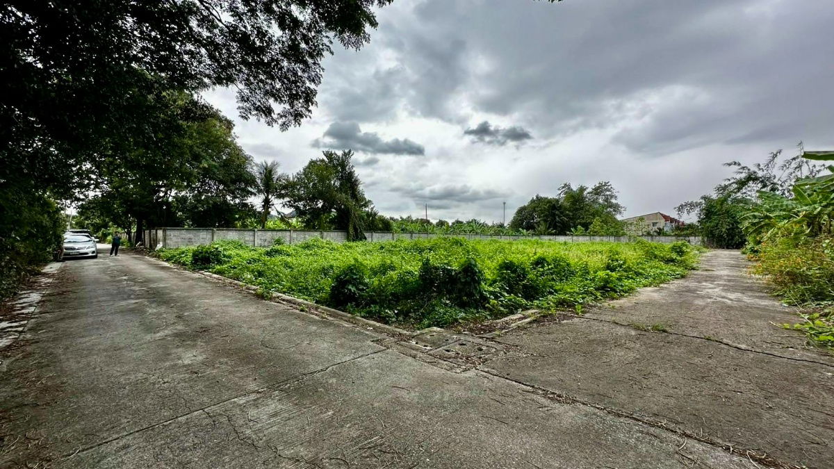 รูป ขายที่ดินถมแล้ว 403 ตร.ว. ซอยประสิทธิ์พัฒนา ถนนบางระมาด ใกล้ถนนพุทธมณฑลสาย 1 และถนนกาญจนาภิเษก - รูปที่ 7/7