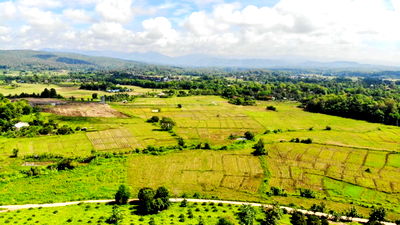 ที่ดิน เชียงใหม่ : ขาย ที่ดิน โอกาสทอง! ขายที่ดินแปลงสวย วิวภูเขา มีน้ำล้อมรอบ ใกล้โรงเรียนนานาชาติแม่ริม เชียงใหม่ ที่ดินนอกโครงการ 5 ไร่ 2 งาน 28 ตรว.  เหมาะสำหรับรีสอ