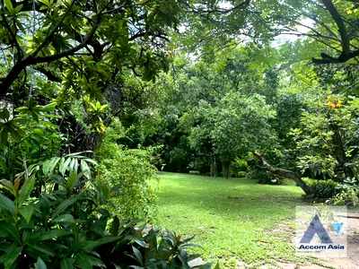 เช่าบ้านเดี่ยว ถนนเพชรบุรี กรุงเทพฯ : 🔼🔽 AccomA 📩  2 BR House @ (AA43897)
