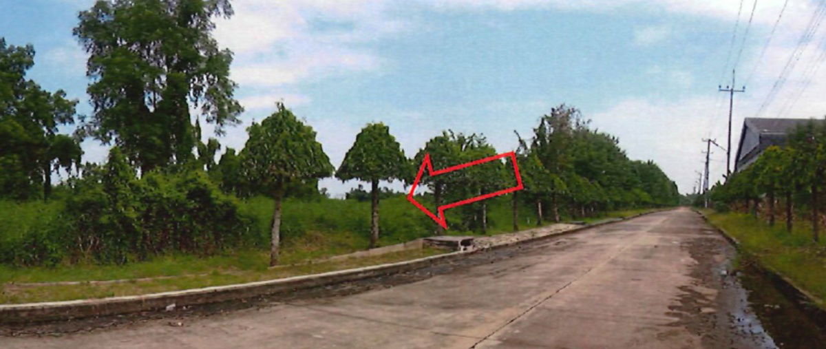 รูป ขายที่ดิน ภายในโครงการสหโชควัฒนา เนื้อที่ 12 ไร่ อ.บางน้ำเปรี้ยว จ.ฉะเชิงเทรา - รูปที่ 3/3