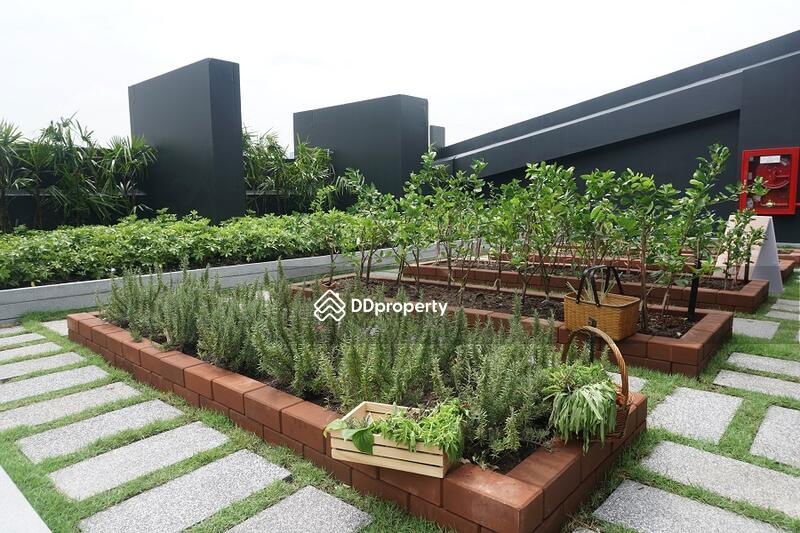 รูป (เจ้าของขายเอง)ประกาศขายคอนโดพร้อมอยู่  IDEO Ratchada - Sutthisan (ไอดีโอ รัชดา - สุทธิสาร) - รูปที่ 32/34